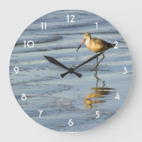 Fütternd Sandpiper