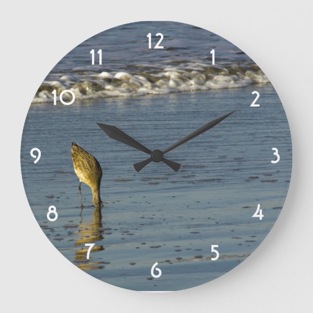 Fütternd Sandpiper II Große Wanduhr (Vorderseite)