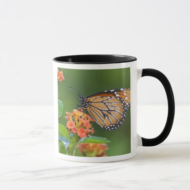 Fütternd Schmetterling (Danaus eresimus) Tasse (Rechts)