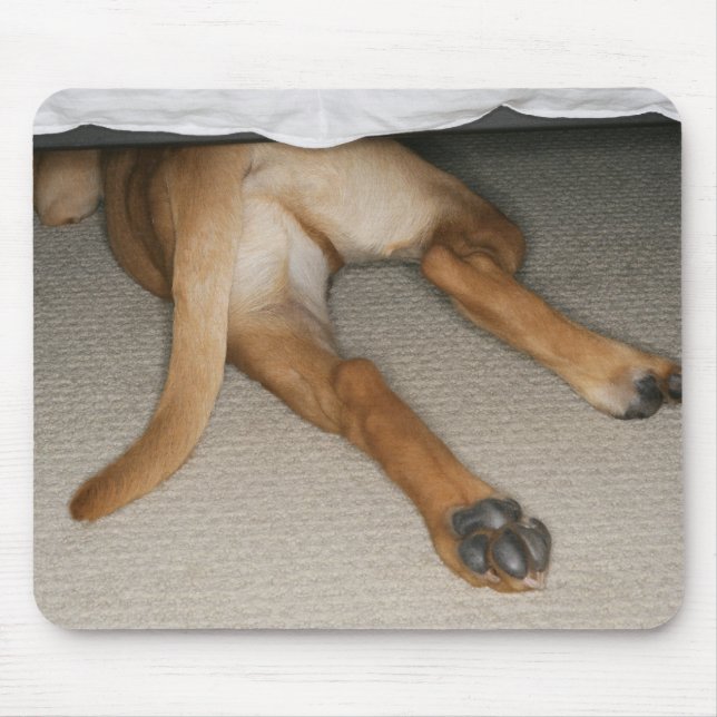 Fütterung und Schwanz von gelbe Labrador Hund vers Mousepad (Vorne)