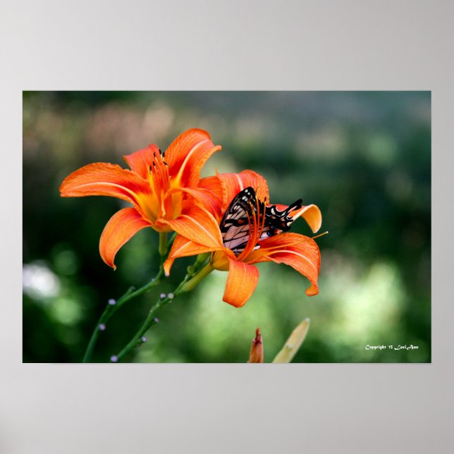 Füttre der Zeit an den Lilien 4 Poster (Vorne)