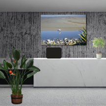 Füttre der Zeit für Royal Spoonbill