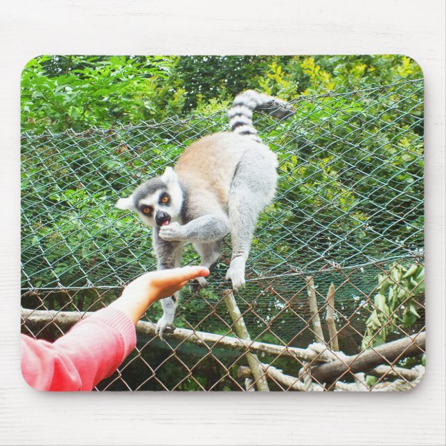 Füttre einer Ringschwanzlemmur Mousepad (Vorne)