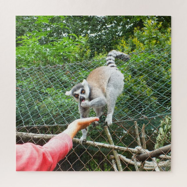 Füttre eines Lemur Puzzle (Vertikal)