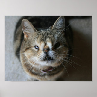 "Füttre Me" Quasi Poster