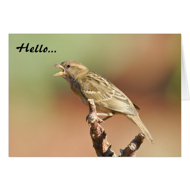 Füttre mir! (Vorderseite (Horizontal))