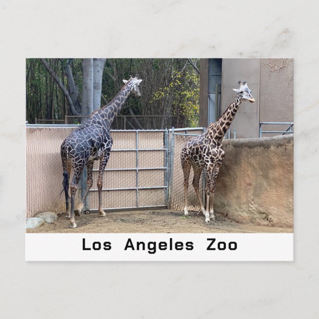 Füttre Postkarte (Vorderseite)