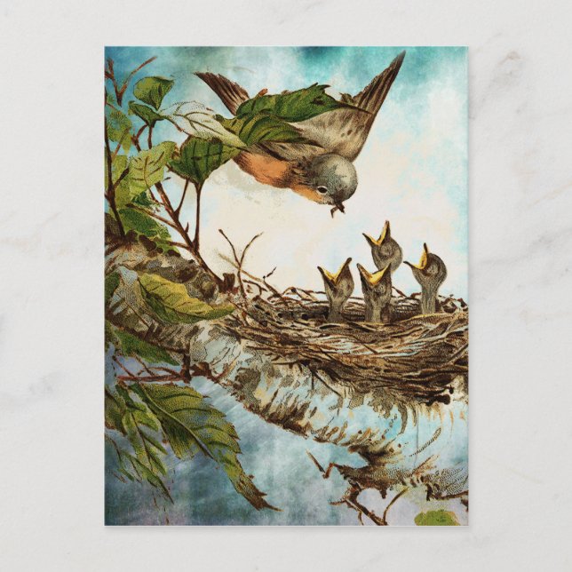 FÜTTRE POSTKARTE (Vorderseite)