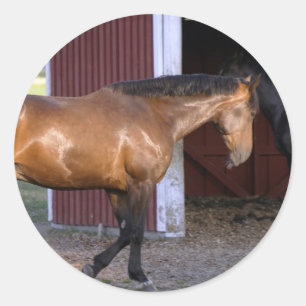 Füttre Runder Aufkleber