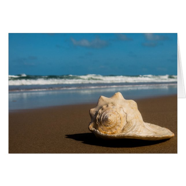 Future Beach (Vorderseite (Horizontal))