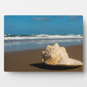 Future Beach Fotoplatte