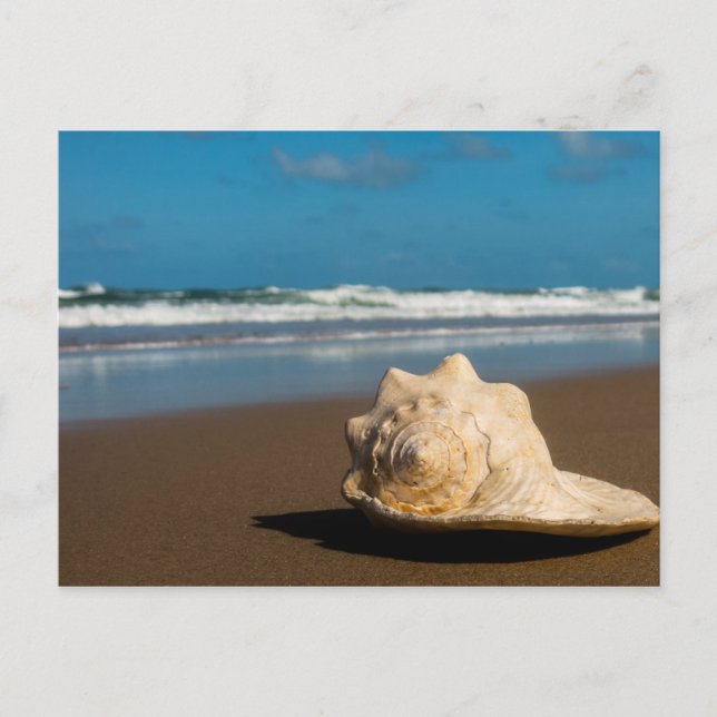 Future Beach Postkarte (Vorderseite)