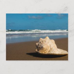 Future Beach Postkarte