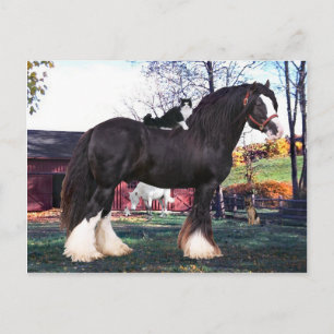 "Fuzzer Rides Again" Postkarte