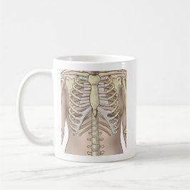 Fuzzy Express® Anatomie des Skeletts von Frauen Kaffeetasse