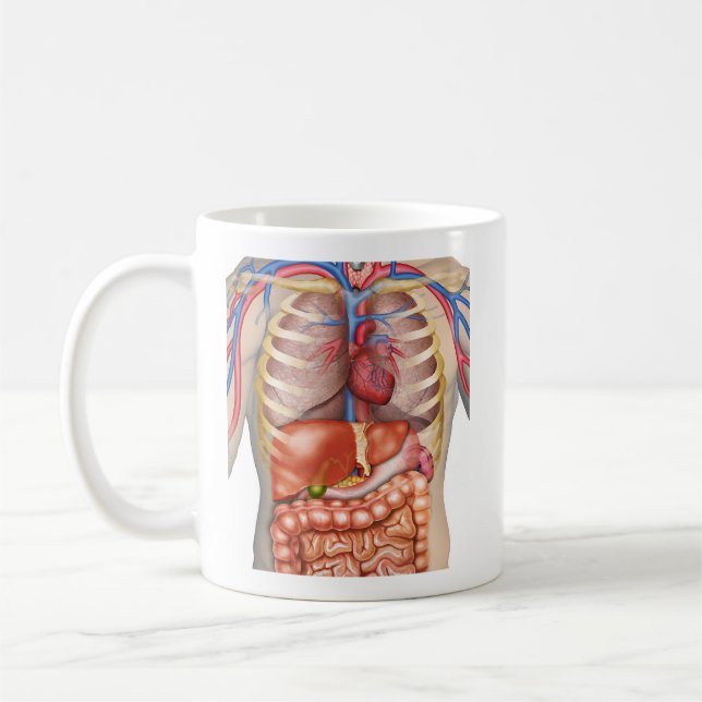 Fuzzy Express® interne Organanatomie Kaffeetasse (Links)