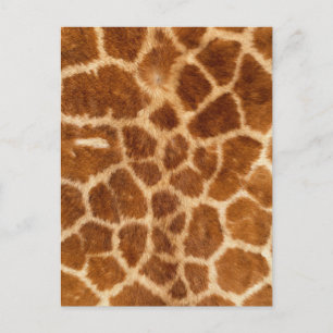 Fuzzy Giraffe Fur Pattern Postkarte