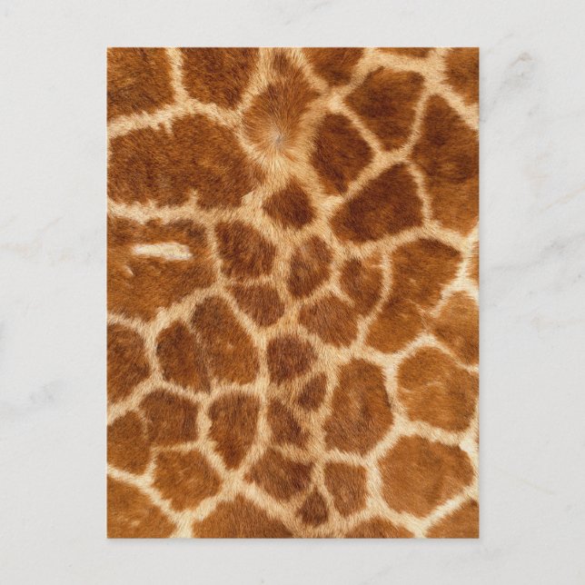 Fuzzy Giraffe Fur Pattern Postkarte (Vorderseite)