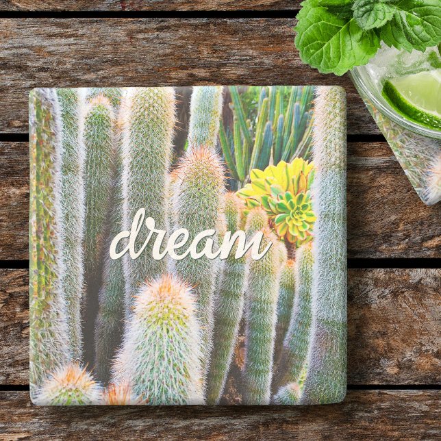 Fuzzy Green Cacti Succulent Foto Dream Script Steinuntersetzer (Von Creator hochgeladen)