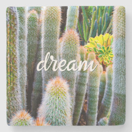 Fuzzy Green Cacti Succulent Foto Dream Script Steinuntersetzer