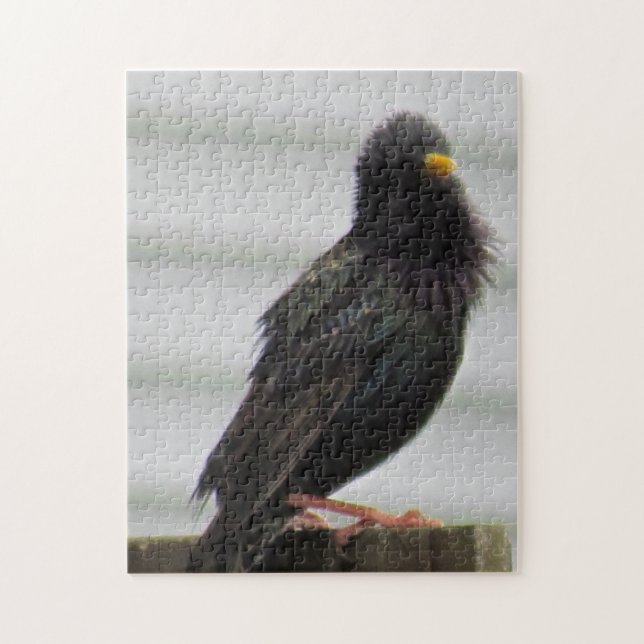 Fuzzy Headed Bird Puzzle (Vertikal)