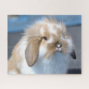Fuzzy Holland Mini Zwarf Lop Bunny Rabbit Puzzle