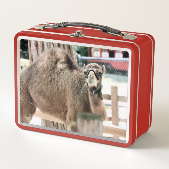 Fuzzy Typ Metall Brotdose (Vorderseite)