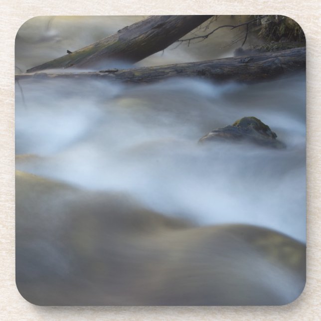 Fuzzy Water 6 Cork Getränkeuntersetzer (Vorderseite)