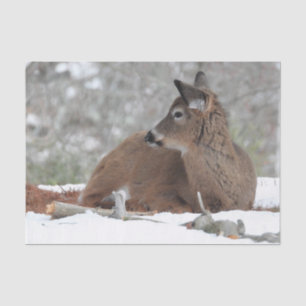 Fuzzy White Tails Deer Fawn Seidenpapier
