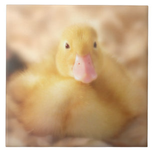 Fuzzy Yellow Duck Easter Baby Duckling Fliese