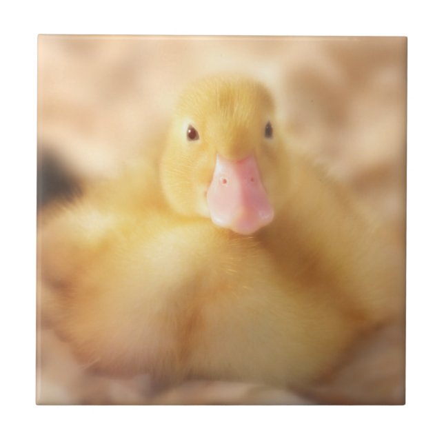 Fuzzy Yellow Duck Easter Baby Duckling Fliese (Vorderseite)