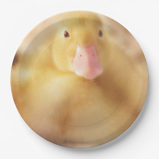 Fuzzy Yellow Duck Easter Baby Duckling Pappteller (Vorderseite)