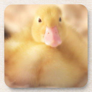 Fuzzy Yellow Duck Easter Baby Duckling Untersetzer