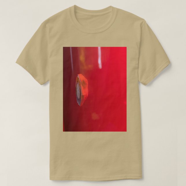 Fwog T-Shirt (Design vorne)