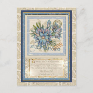 G Creation Office - blaue Blume Postkarte