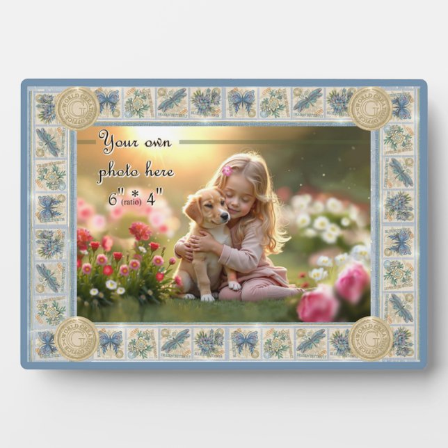 G-Einrichtung Fotoplatte (Vorderseite)