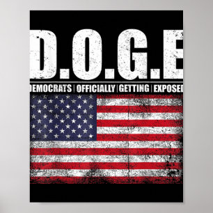 g.g.e Doge Department of Government Efficiency Poster
