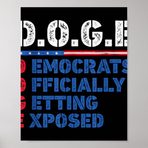 g.g.e Doge Department of Government Efficiency Poster