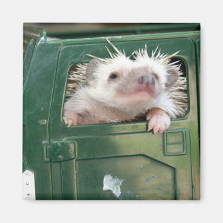 G.I. Igel Magnet