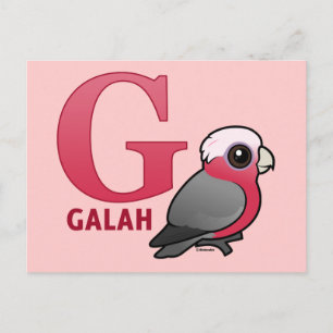 G ist für Galah Postkarte