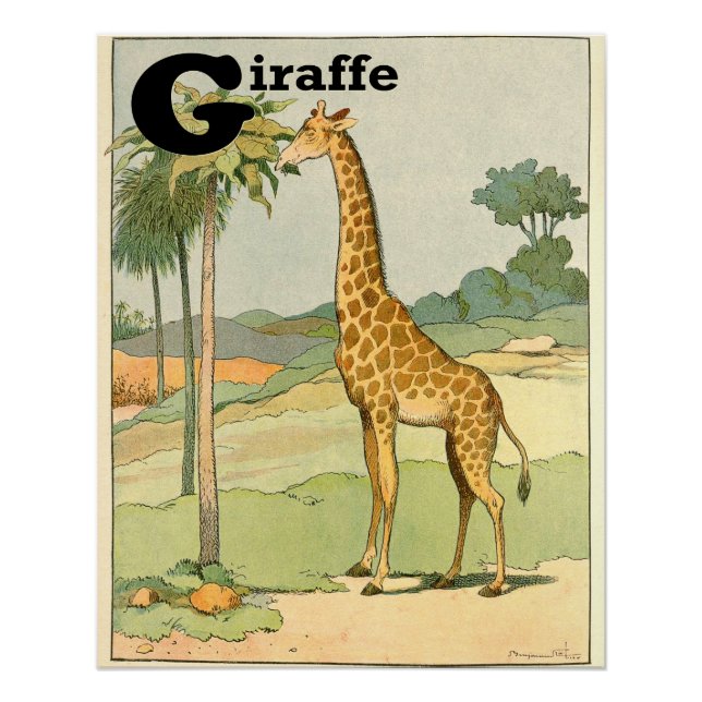 G ist für Giraffe Alphabet Animals Perfect Poster (Vorderseite)