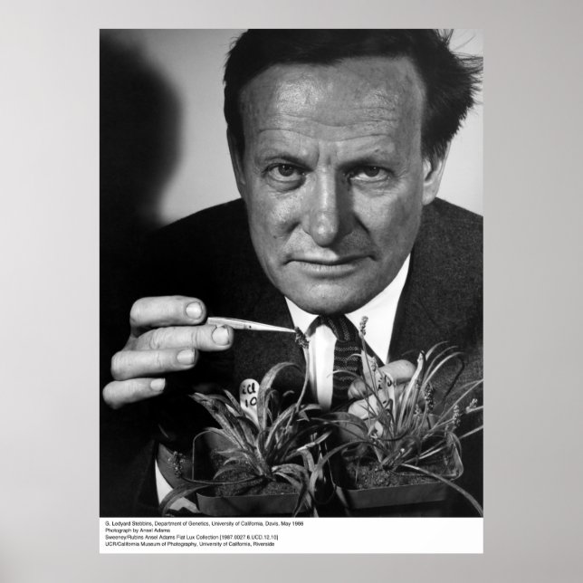 G. Ledyard Stebbins, UC Davis, 1966 Poster (Vorne)