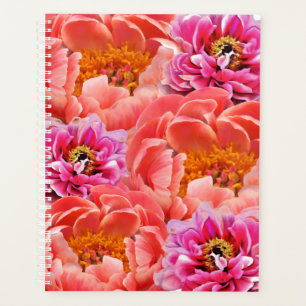 g Planer Pink/Korallenpeonys