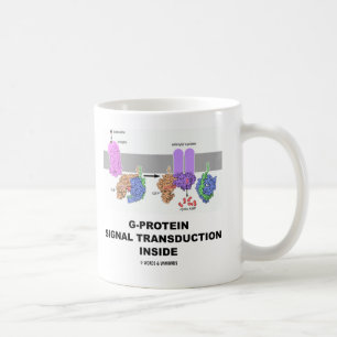 G-Protein SignalTransduction nach innen Kaffeetasse