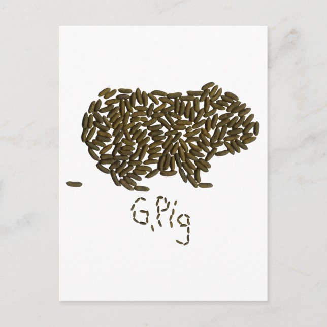 "G. Schweinefleisch" mit klassischer Guinea Postkarte (Vorderseite)