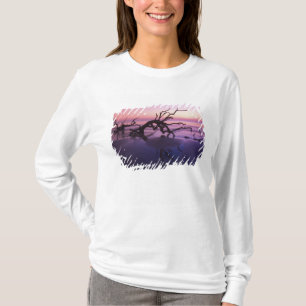 GA Jekyll Island, Baumfriedhof am Strand bei T-Shirt