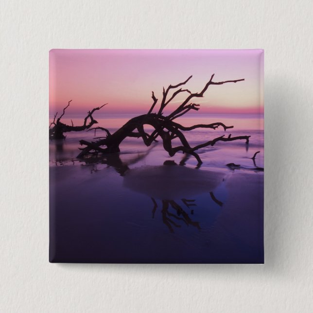 GA Jekyll Island, Tree Friedhof am Strand Button (Vorderseite)