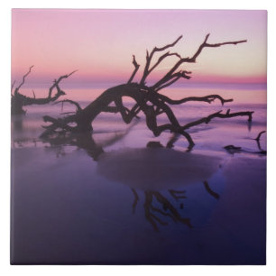 GA Jekyll Island, Tree Friedhof am Strand Fliese