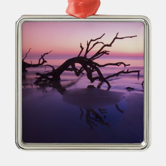 GA Jekyll Island, Tree Friedhof am Strand Silbernes Ornament (Vorne)