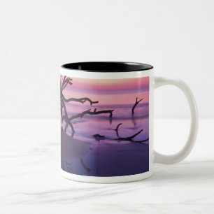 GA Jekyll Island, Tree Friedhof am Strand Zweifarbige Tasse